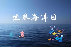 光照海底世界海报背景PSD分层素材