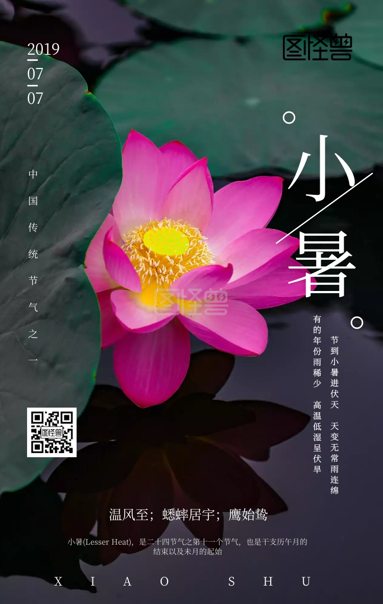 中国风荷花小暑二十四节日节日问候手机海报