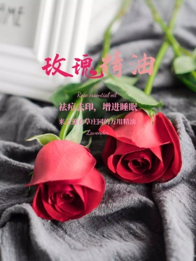 玫瑰精油促销海报设计