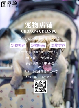 宠物店铺海报