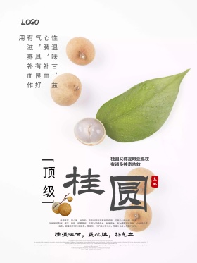 桂圆龙眼干货美食海报