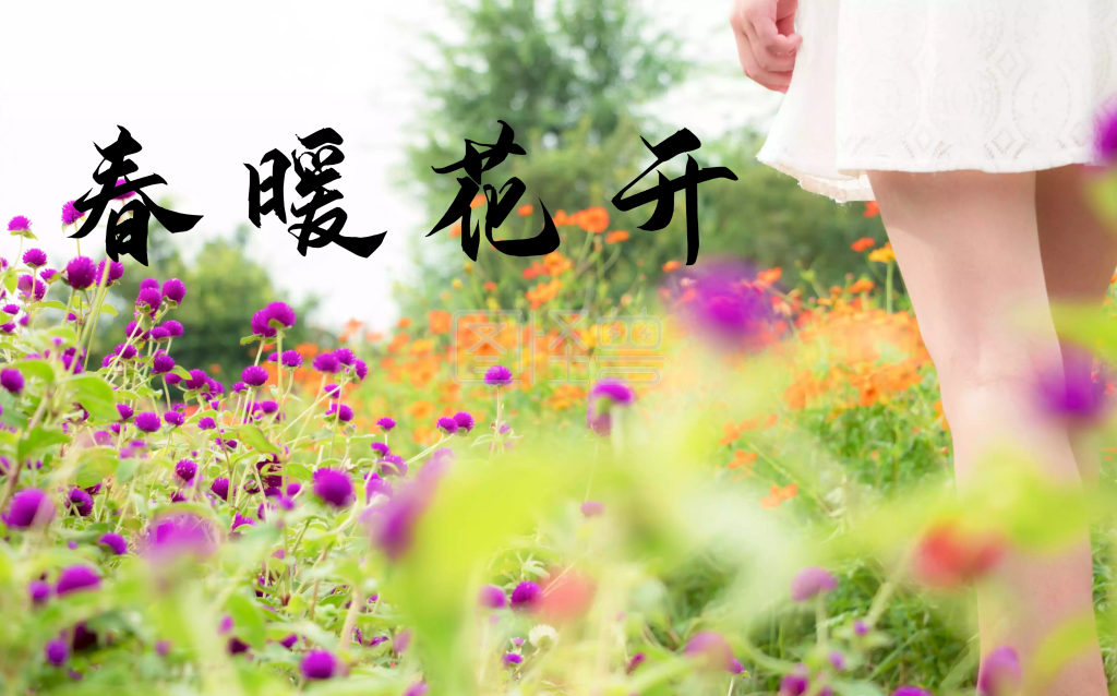 春暖花开海报背景设计psd素材