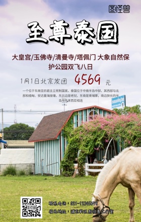 泰国曼谷手机旅游海报