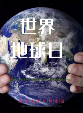 简约风格保护地球海报