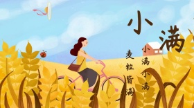 小满清新红包公众号封面