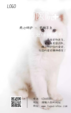 关爱宠物精心呵护宠物医院营销海报