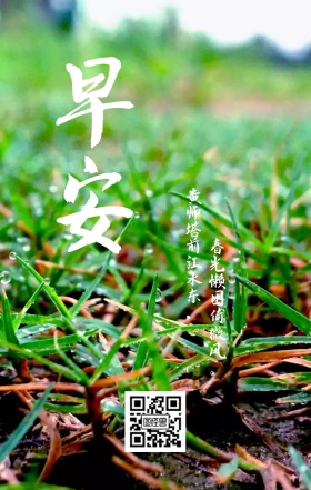 春意 早安日签