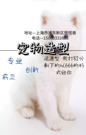 宠物造型视觉冲击力日签