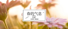 春的气息 在草地。 在湖畔。 在眼里飞舞盘旋 春季春天你好公众号封面