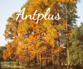 城市建设展板背景