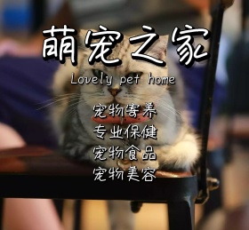 萌宠之家食物朋友圈封面