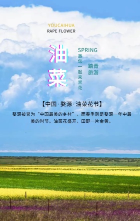 黄色简约油菜花季节旅游手机海报