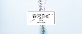 春天你好 在枝头。 在衣角。 在每一个眼神。 春季春天你好公众号封面