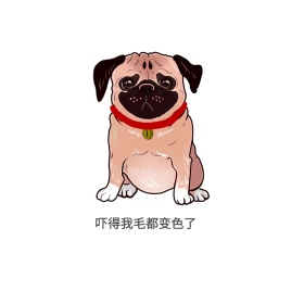 小狗表情包