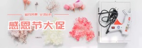 感恩节活动benner