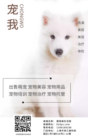 宠物可爱动物狗猫简约萌宠海报