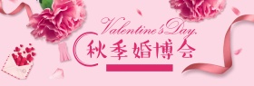淡粉色浪漫背景秋季婚博会淘宝全屏海报banner电商