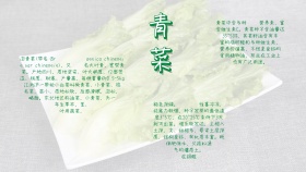 蔬菜清新绿色简约青菜手抄报