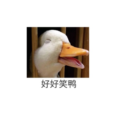 撒浪嘿呦可爱鸭鸭表情包