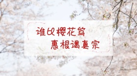 樱花浪漫花海蓝色公众号封面模版