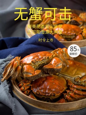 高端大气蓝金中国风大闸蟹创意商业海报设计