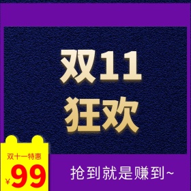 双十一双11淘宝天猫主图直通车促销
