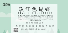 玫红色蝴蝶横版海报