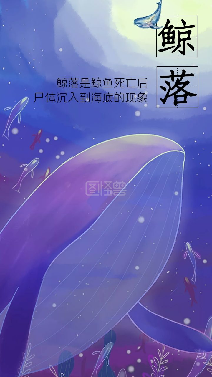 鲸鱼卡通-鲸鱼鲸落蓝色卡通手机壁纸-模板图片-图怪兽