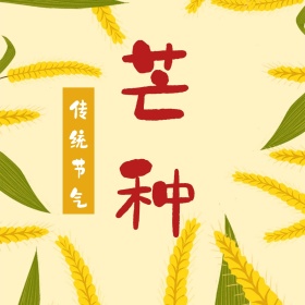 芒种传统节气手绘金黄麦穗公众号配图