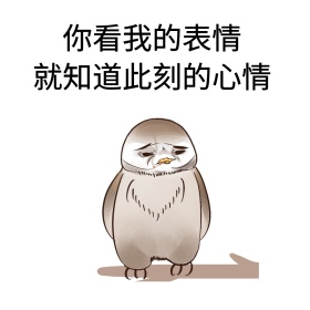 看我的表情