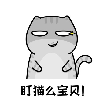 表情包盯猫么宝贝