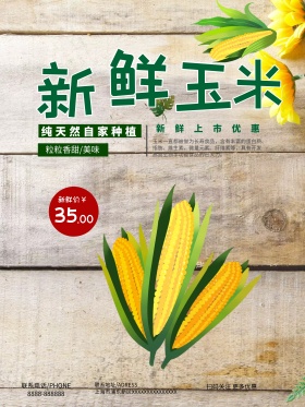 新鲜玉米白色促销美食海报