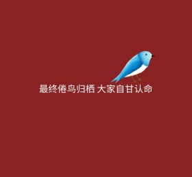 最终倦鸟归栖纯色朋友圈封面图
