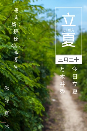 立夏节气夏天绿叶摄影公众号配图