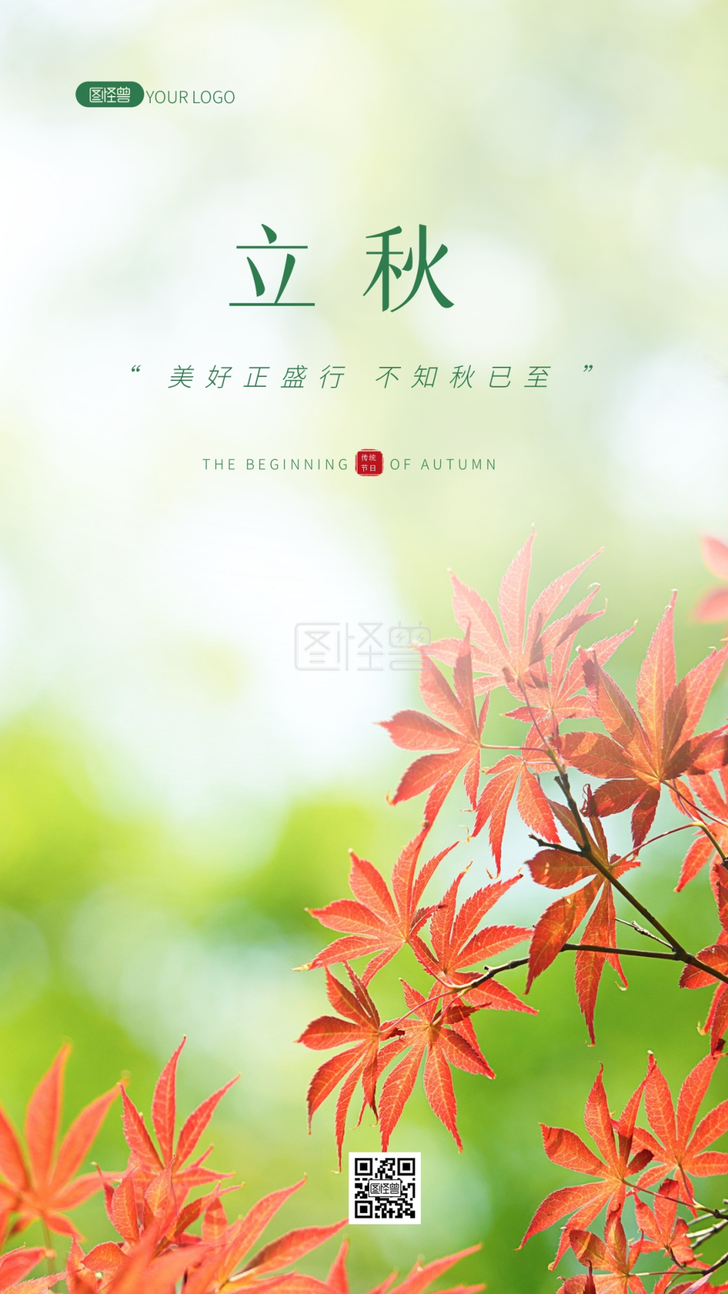 清新绿色枫叶背景立秋祝福问候摄影图海报