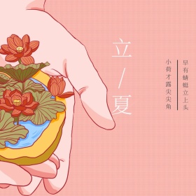 立夏荷花蜻蜓公众号封面图