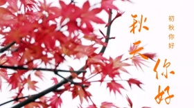你好秋天公众号封面