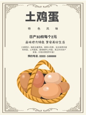 特色风味土鸡蛋促销海报