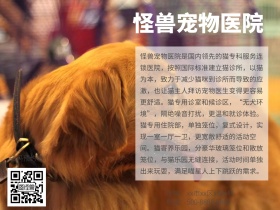 宠物医院公众号配图