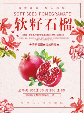 美食水果软籽石榴海报设计PSD