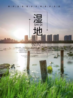 简约湿地节宣传海报设计
