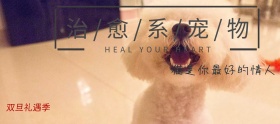 宠物双旦礼遇季banner