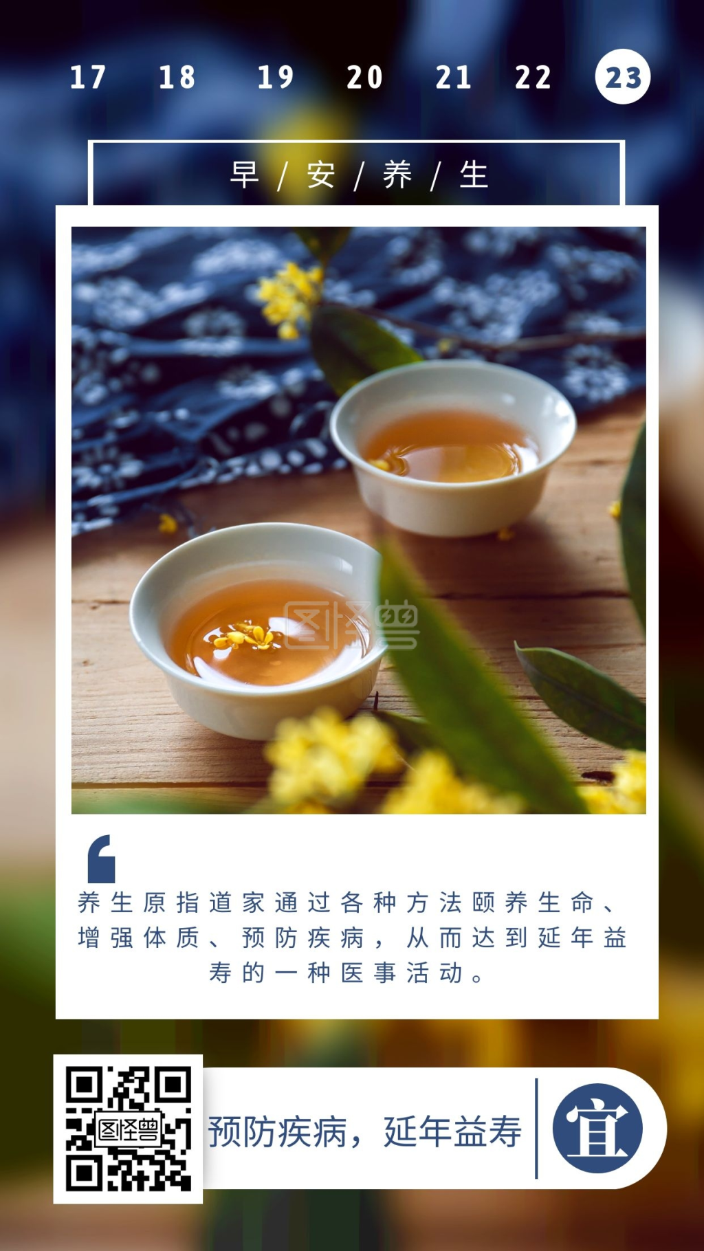 早安养生花茶摄影日签