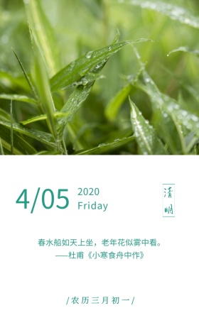 树苗清明节雨滴极简日签