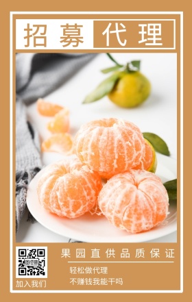 招募 代理 加入我们 轻松做代理 不赚钱我能干吗 果园直供品质保证 水果招募代理简约手机海报