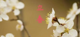 立春小清新手绘梦幻节气微博焦点图模板