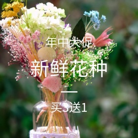 新鲜花种年中大促主图直通车