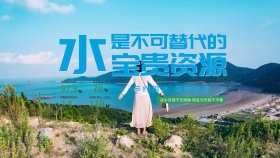 水是不可替代的宝贵资源海报