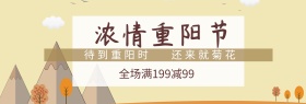 保健品重阳节感恩回馈淘宝海报