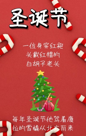 圣诞节日签